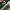 Nike Air Jordan Sneakers Wanita green photo 5