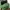 Nike Air Jordan Sneakers Wanita green photo 4