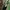 Nike Air Jordan Sneakers Wanita green photo 8