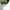 Converse Streetwear Casual Sneakers Pria blue photo 4