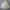 Mark Gonzales Streetwear Kimono Pria gray photo 1