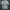 Grunge Goth T-shirt Pria white photo 1