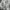 Grunge Goth T-shirt Pria white photo 6