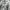 Grunge Goth T-shirt Pria white photo 4