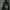 Goth Emo Hoody Pria black photo 8