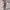 Luxury Casual Bodycon dress Wanita black photo 1