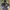 Gorpcore Casual Windbreaker Pria black photo 1