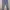 Casual Boyfriend jeans Wanita blue photo 1