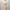 Coquette Casual Casual dress Wanita pink photo 2