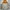 The North Face Gorpcore Biker Windbreaker Pria orange cream photo 5