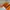 The North Face Gorpcore Biker Windbreaker Pria orange cream photo 3