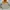 The North Face Gorpcore Biker Windbreaker Pria orange cream photo 1
