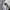 Nike Sportswear Casual Sweatpants & Joggers Pria gray photo 4