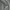 Nike Sportswear Casual Sweatpants & Joggers Pria gray photo 2