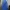 Dickies Avant Garde Casual Pria multicolor photo 2