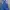 Dickies Avant Garde Casual Pria multicolor photo 4