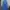 Dickies Avant Garde Casual Pria multicolor photo 1