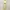 Luxury Evening dress Wanita gold photo 1