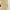 Luxury Evening dress Wanita gold photo 2