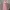 Coquette Babydoll Dress Wanita Pink