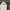 Vintage Casual Sweater Pria white black photo 3