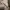 Dickies Streetwear Casual Sweater Pria green gray photo 4