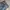 H&M Streetwear Casual Boyfriend jeans Wanita blue photo 2