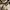 Kolon Sport Sportswear Casual Track jacket Pria white black photo 3