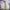 Vintage Y2K Harrington jacket Wanita cream photo 3