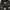 Luxury Puffer jacket Pria black photo 4