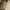 Pull & Bear Streetwear Sportswear Boxer Pria brown photo 3
