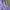 H&M Minimalist Casual Windbreaker Wanita purple photo 2