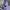 H&M Minimalist Casual Windbreaker Wanita Purple