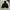 NII Casual Hoody Pria black photo 2