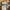 Columbia Y2K Casual Casual shirt Pria brown cream photo 3