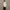 Casual Formal shirt Pria khaki photo 1