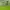 New Balance Sportswear Sneakers Pria green photo 6