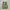 Asics Sportswear Sneakers Pria green blue photo 5