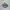 Asics Sportswear Sneakers Pria green blue photo 1