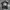 Nike Sportswear Jersey Pria black photo 2