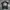Nike Sportswear Jersey Pria Black