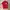 Polo Ralph Lauren Vintage Luxury Polo shirt Pria red photo 1
