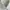 Balenciaga Vintage Formal shirt Pria white photo 7