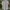 Balenciaga Vintage Formal shirt Pria white photo 1