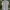 Balenciaga Vintage Formal Shirt Pria White