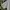 Balenciaga Vintage Formal shirt Pria white photo 3