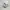 Nike Sportswear Sneakers Pria white photo 1