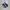 Nike Sportswear Sneakers Pria white blue photo 1