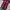 Mizuno Streetwear Jersey Pria pink black photo 1