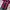 Mizuno Streetwear Jersey Pria Pink Black